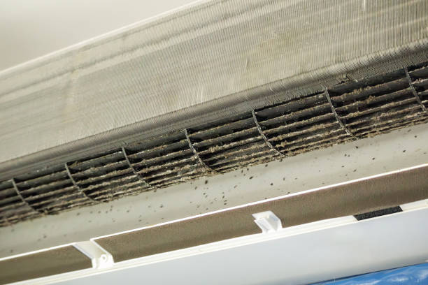 Best Ductwork Cleaning Services  in Hinton, WV